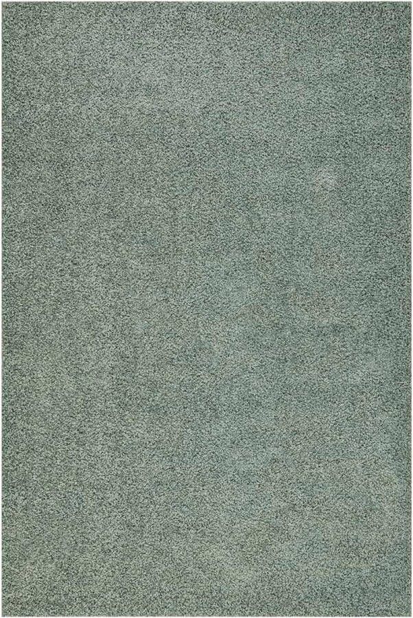 The carpet Vloerkleed hoogpolig 80x150 cm Zacht Modern Effen PORT SHAGGY by