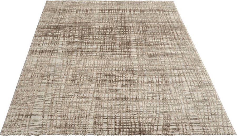 The carpet Vloerkleed Knight Elegant Hoge kwaliteit Woonkamerkleed Zachte korte pool 3-D effect Glanzende design elementen Hoog-Laag structuur Beige 80 x 150 cm - Foto 2