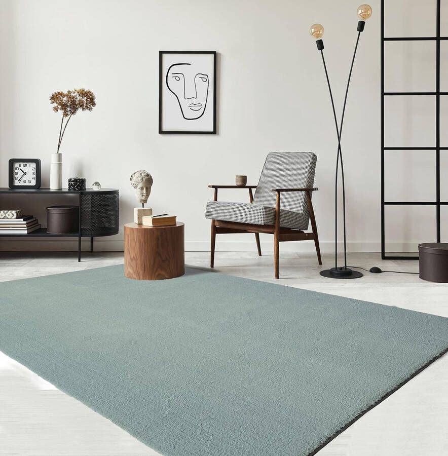 The carpet Vloerkleed voor woonkamer of slaapkamer in blauw 120x170 cm Modern en zacht kortpolig tapijt Rechthoekig Antislip onderkant Wasbaar tot 30 Graden Rug for bedroom or living room RELAX kleed by