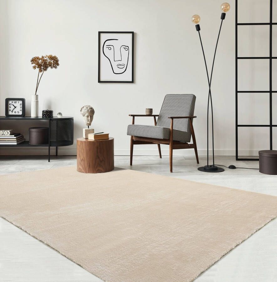 The carpet Vloerkleed voor woonkamer of slaapkamer in beige 120x160 cm Modern en zacht kortpolig tapijt Rechthoekig Antislip onderkant Wasbaar tot 30 Graden Rug for bedroom or living room RELAX kleed by