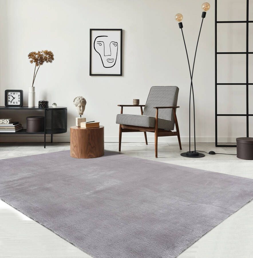 the carpet Vloerkleed voor woonkamer of slaapkamer in grijs 120x170 cm Modern en zacht kortpolig tapijt Rechthoekig Antislip onderkant Wasbaar tot 30 Graden Rug for bedroom or living room RELAX kleed by