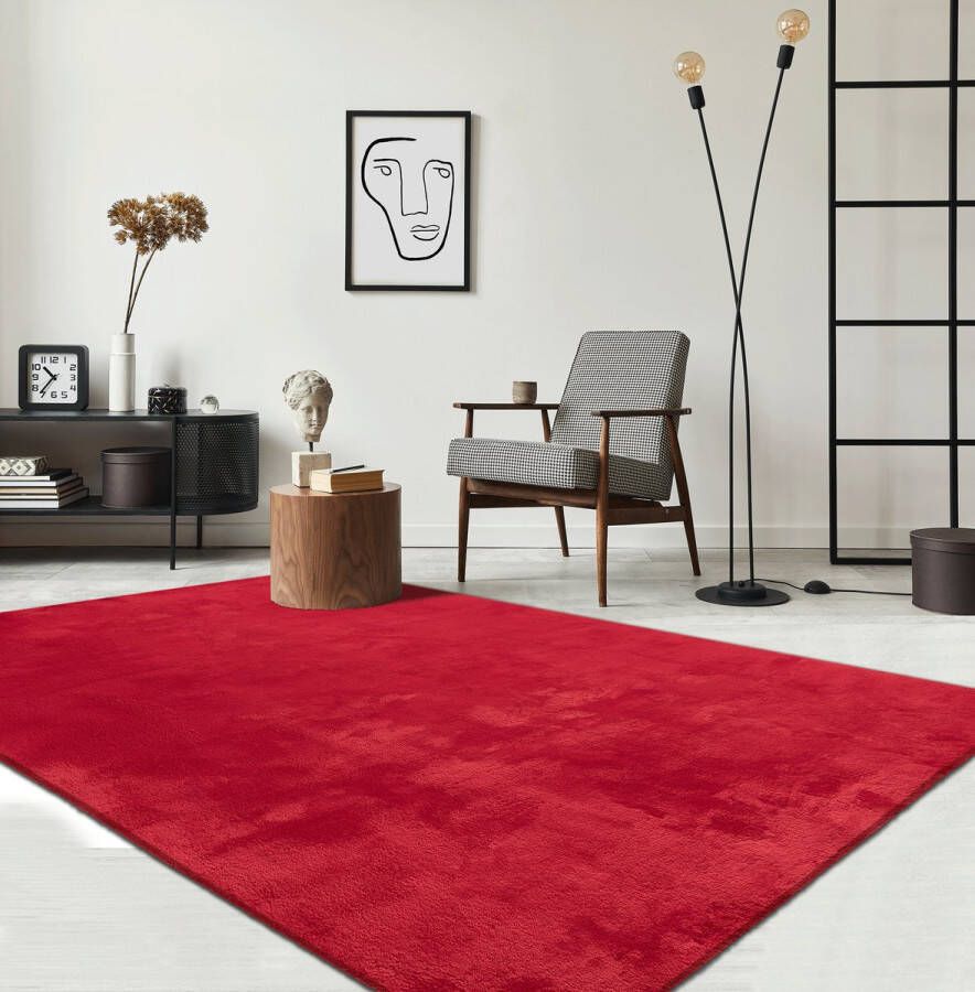 The carpet Vloerkleed voor woonkamer of slaapkamer in rood 200x280 cm Modern en zacht kortpolig tapijt Rechthoekig Antislip onderkant Wasbaar tot 30 Graden Rug for bedroom or living room RELAX kleed by