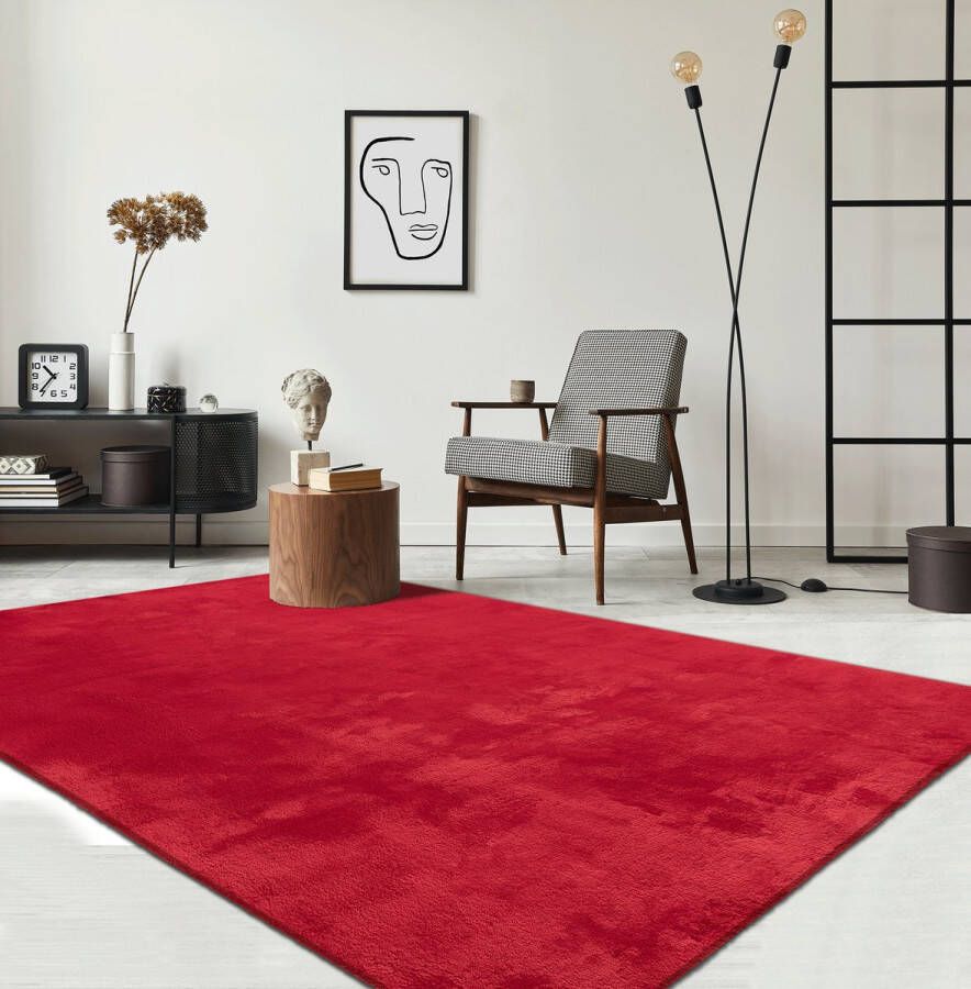 the carpet Vloerkleed voor woonkamer of slaapkamer in rood 60x110 cm Modern en zacht kortpolig tapijt Rechthoekig Antislip onderkant Wasbaar tot 30 Graden Rug for bedroom or living room RELAX kleed by