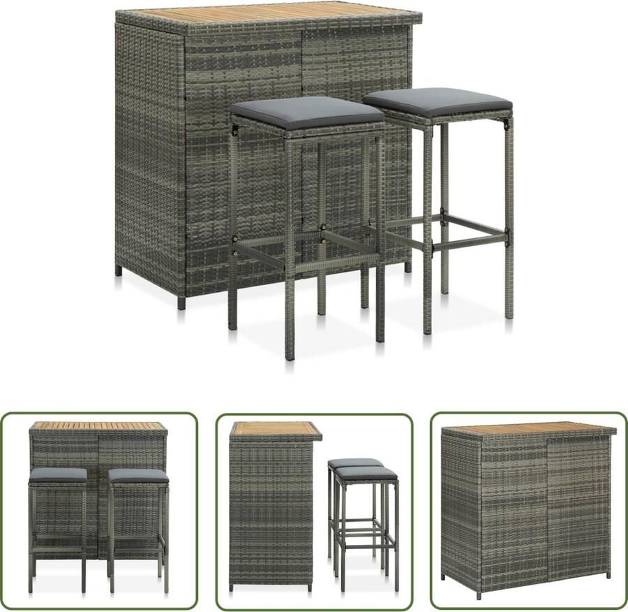 The Living Store Barset Grijs PE-rattan staal massief acaciahout 102x60x105cm Incl kussens Barset Bistroset Buitensete Lounge Set Tuinset