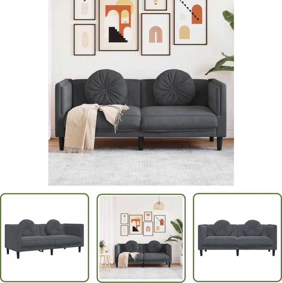 The Living Store Bank met kussens 2-zits fluweel donkergrijs Tweezitsbank Donkergrijs Bank Velvet Bank Banks Kopen Lounge Meubilair