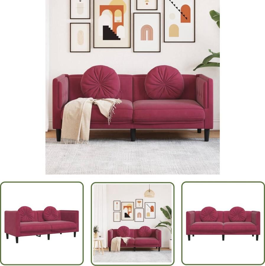 The Living Store Bank 2-zits Fluweel Wijnrood 173.5 x 77 x 70 cm Comfortabele zitervaring Tweezitsbank Fluweel Sofa Rode Bank Lounge Meubilair Woonkamer Meubilering