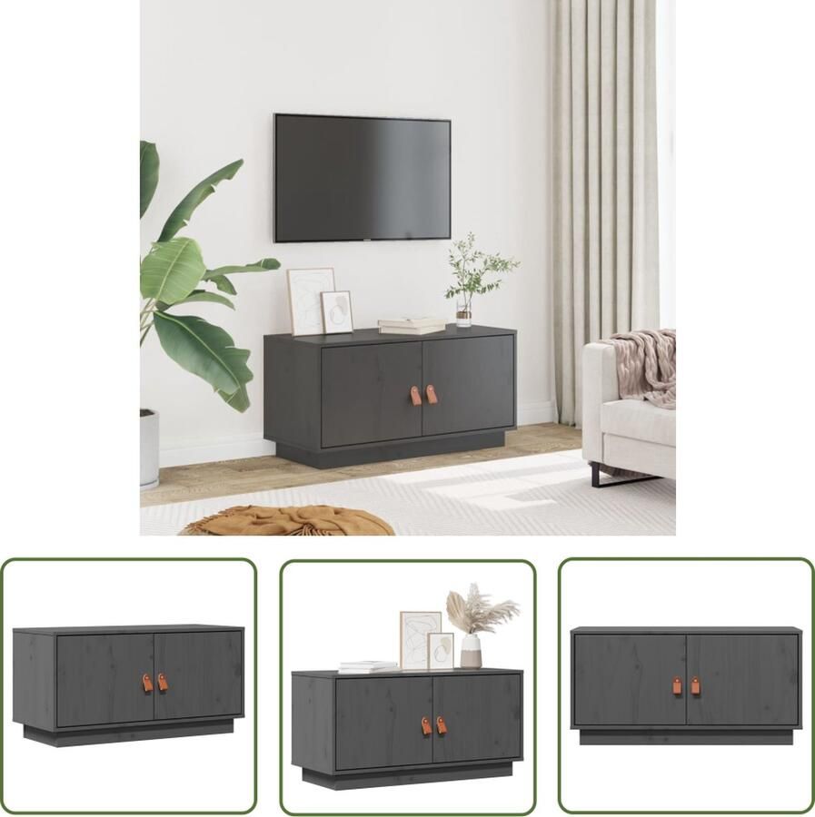 The Living Store Televisiemeubel Grenenhout Massief 80 x 34 x 40 cm Grijs Televisie Kast Tv Meubilair Grenoblehouten Tv Stand Tv Tafel Mediastand - Foto 4