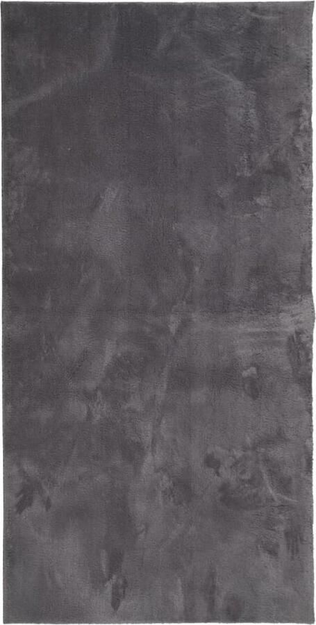 The Living Store Huarte Vloerkleed 100 x 200 cm Antraciet 100% polyester Dubbelzijdig anti-slip 18 mm Poolhoogte Vloerkleed Huiskamer Slaapkamer Woonkamer Accessoires Zacht Vloerkleed