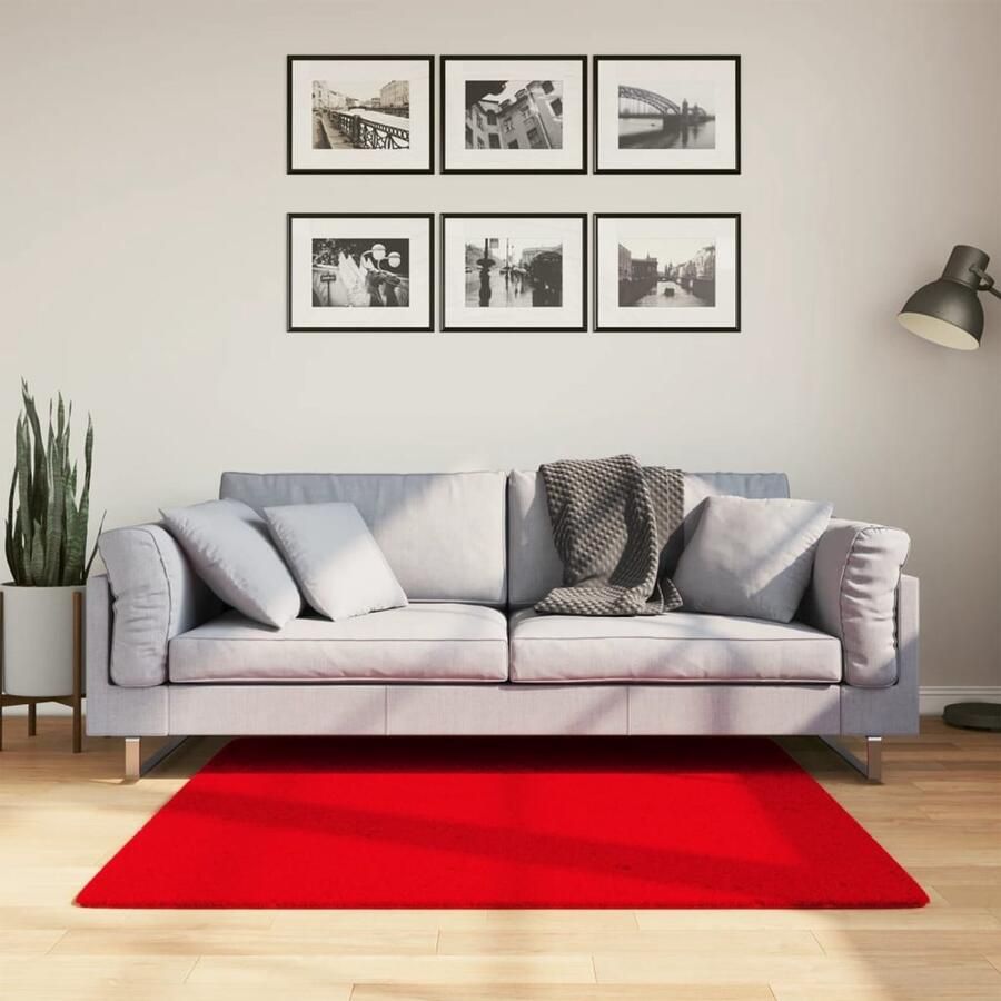 The Living Store HUARTE Vloerkleed 120 x 120 cm Rood Polyester 18 mm Poolhoogte Anti-slip Vloerkleed Rood Polyester Anti Slip Woonkamer