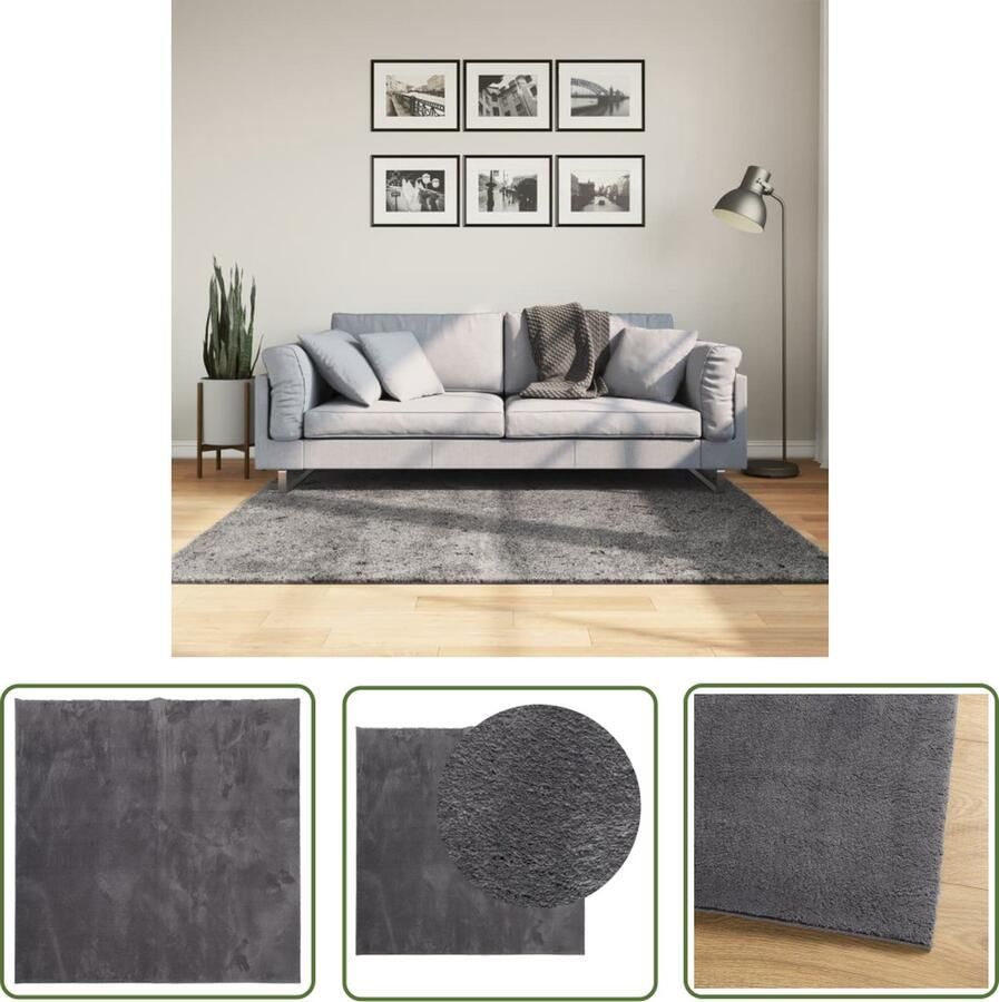 The Living Store Huarte Vloerkleed 160 x 160 cm Antraciet Polyestermateriaal 18 mm poolhoogte Vloerkleed Huiskleed Antraciet Kleurtinten Polyester Tapijt Zacht Vloerkleed