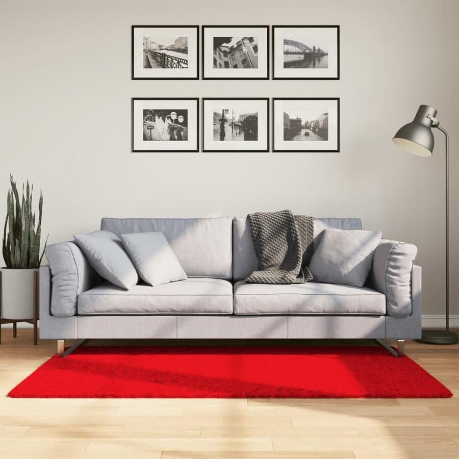 The Living Store OVIEDO Vloerkleed 80 x 150 cm Rood 100% Polyester 12.5 mm Polen Vloerkleed Tapijt Kamerdecoratie Livingroom Decoratie Slaapkamer Decoratie