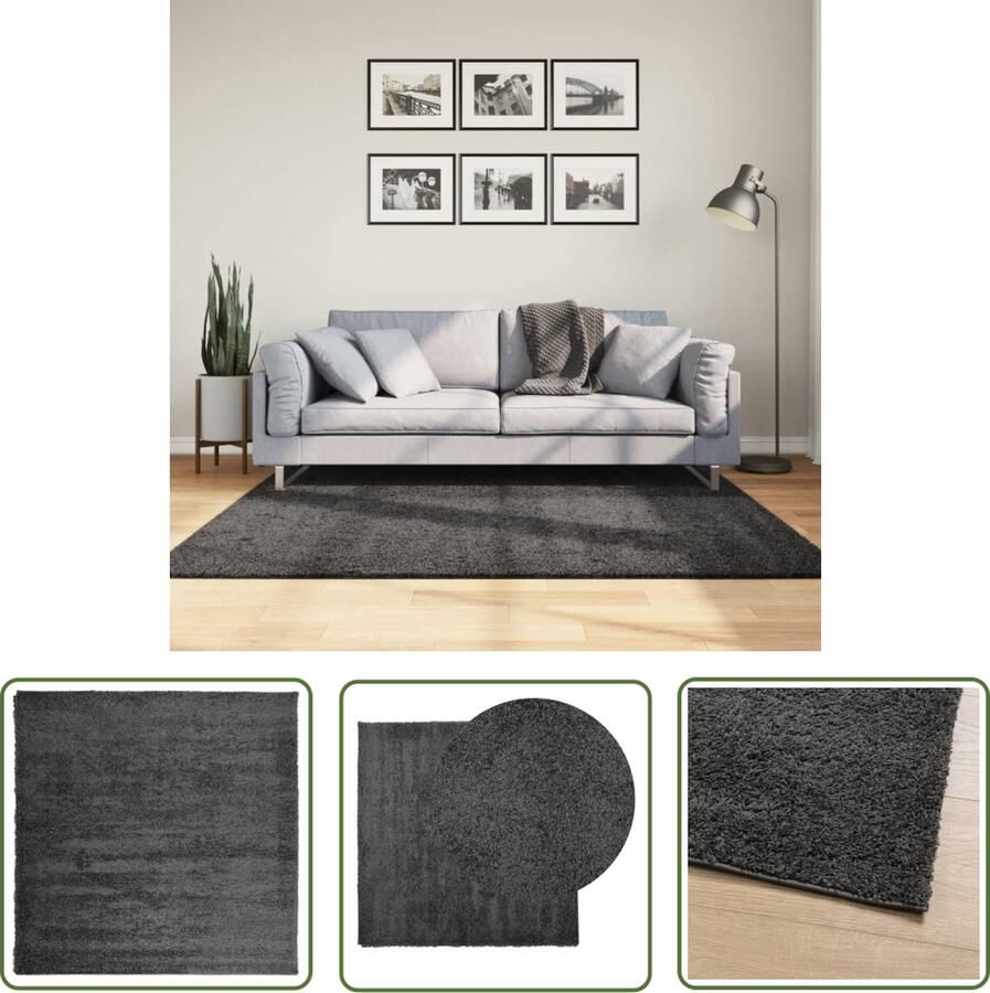 The Living Store Vloerkleed PAMPLONA shaggy hoogpolig 160x160 cm antraciet Shaggy Vloerkleed Antraciet Vloerkleed Woonkamer Tapijt Slaapkamer Tapijt Vloertegels Alternatief
