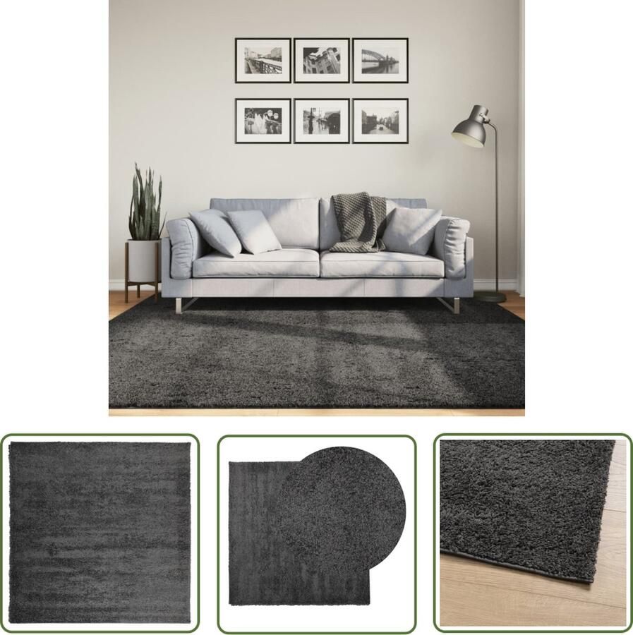 The Living Store Vloerkleed PAMPLONA shaggy hoogpolig 200x200 cm antraciet Shaggy Vloerkleed Antracitaire Vloerkleed Woonkamer Tapijt Slaapkamer Tapijt Groot Vloerkleed