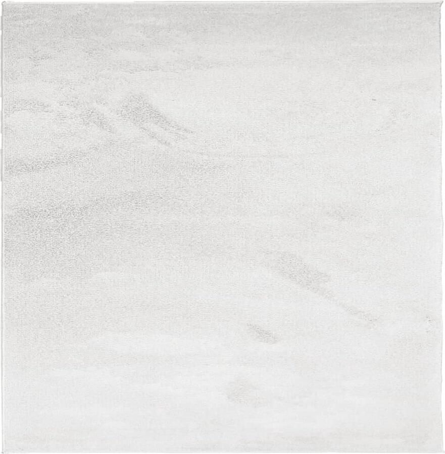 The Living Store Vloerkleed Tapijten Woonkamertapijt Slaapkamertapijt Grijze Vloerkleed