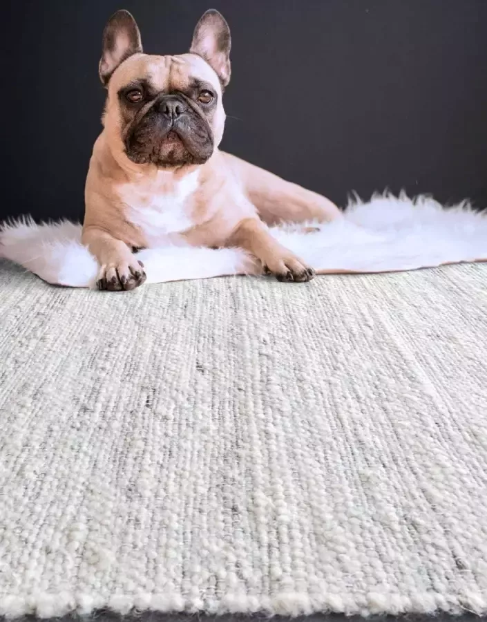 The Rug Republic Handgemaakt Ivoor Grijs Sunland Tapijt