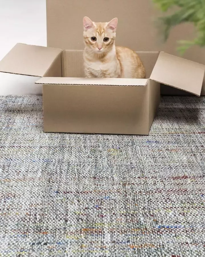 The Rug Republic Handgemaakt Naturel Multi FAHRO Tapijt