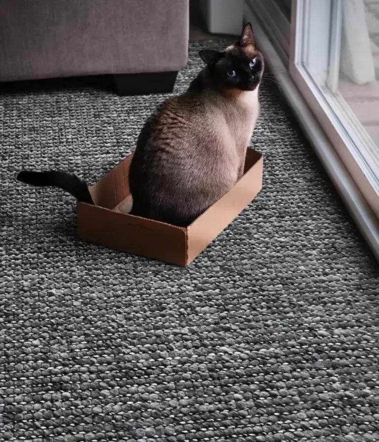 The Rug Republic Handgeweven Grijs ALVERI Tapijt