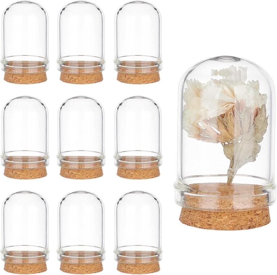 TheLau 10 stuks Glazen Cloche Bell Jar met Kurkbasis Decoratieve Mini Glazen Koepel voor Bloemen en Opslag Kerstfeest Gunst Decoratie 2 x 3 6 cm Snad Vitrine Thuisgebruik