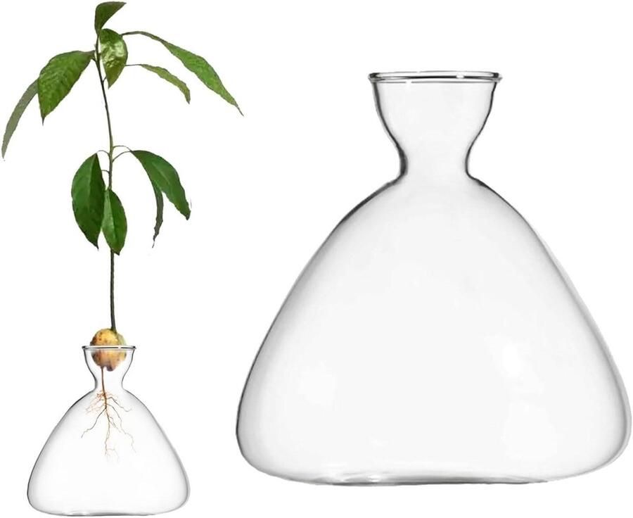 Allecto plus Glazen Avocado Zaad Spruit Starter Vaas voor Avocado Boom Groei Bureau Decoratie Indoor Tuinaccessoire met Clear Glas Tafel Planten Vaas voor Thuisgebruik
