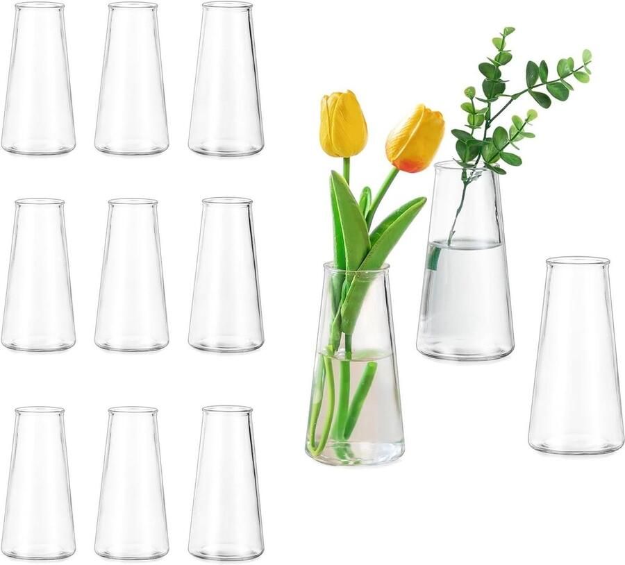 TheLau Glazen Bloemenvaas voor Tafel Kleine Vaas Set van 12 voor Bruiloft Feest Thuis Woonkamer Decoratievaasjes Heldere Bud Vaasjes voor Kerst Verjaardag Geschenken