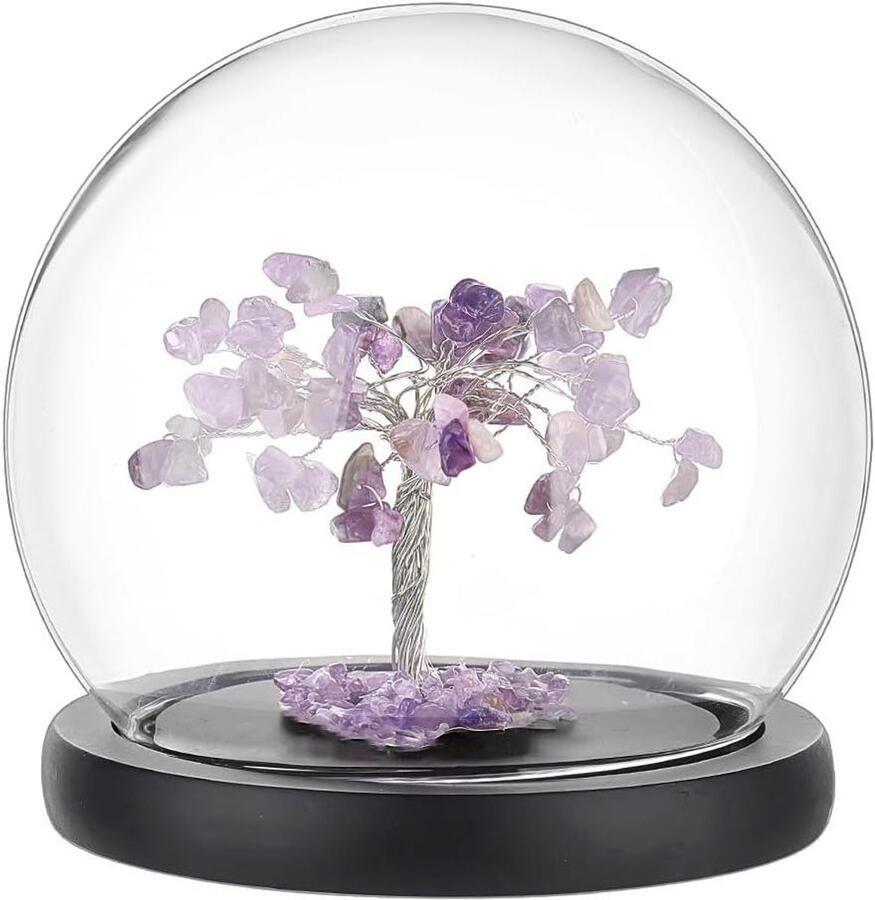 TheLau Glazen display koepel-klok 13 5 cm glazen stolp voor decoratie vitrine voor bloemen huis decoratie voor Kerst en feestenmojom partie decoratie