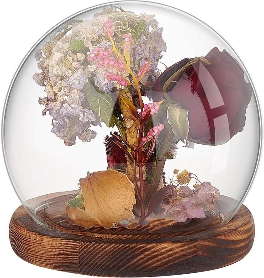 Allecto plus Transparante glazen cloche koepel met wereldbol display Houten sokkel Decoratieve vitrine voor planten bloemen stenen modellen 12 x 11 5 cm