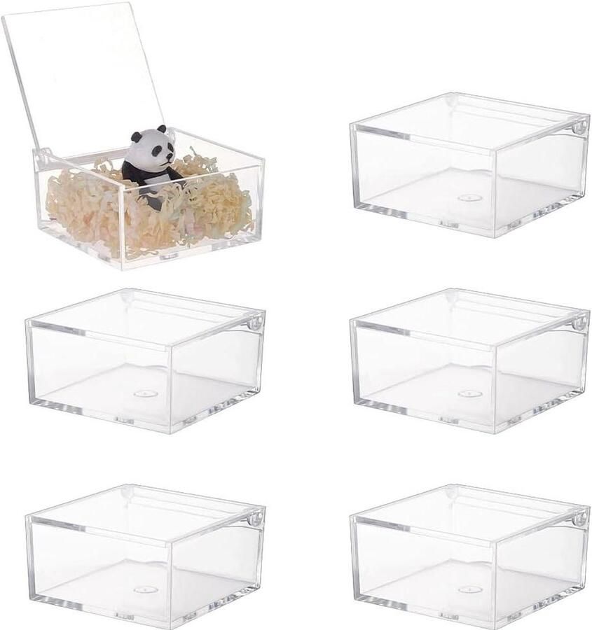 TheLau Set van 6 Transparante Acryl Opbergdozen 8.2x8.2x4cm Voor Snoep Sieraden en meer