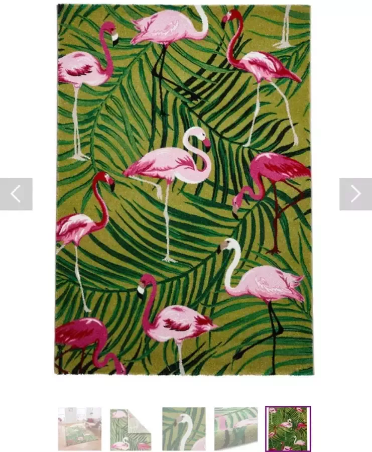 Think Rugs Vloerkleed 'Havana 2349' Groen Roze 120x170 cm