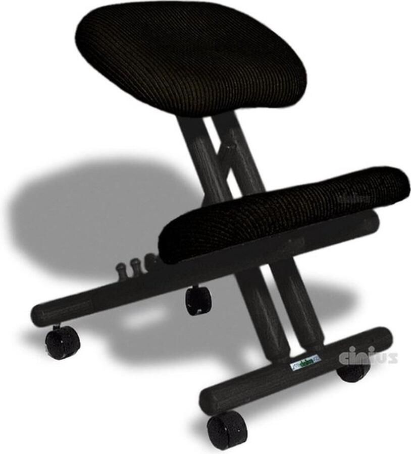 Thuys Professionele Kniestoel – Ergonomisch – Balansstoel – Werkkruk – Postuur Corrector – Bureaustoel – Volledig Verstelbaar – Comfortabel – Zwart