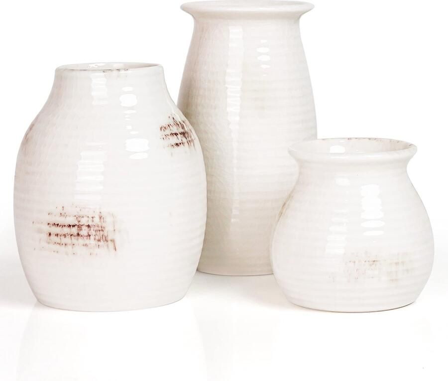 Tinyyo Belle Vous 3 Pak Kleine Witte Keramische Vazen Set Modern Boeren Decoratieve Vazen 3 Maten Rustiek Huis Decor Ideaal voor Pampus Gras & Bloemen Boekenplank Haardmantel Tafel & Huisdecoratie - Foto 3