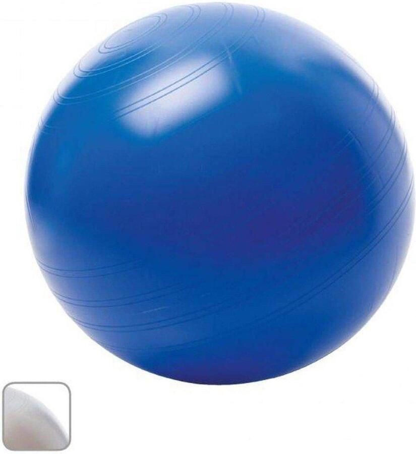 Togu Zitbal ABS 55 cm Blauw