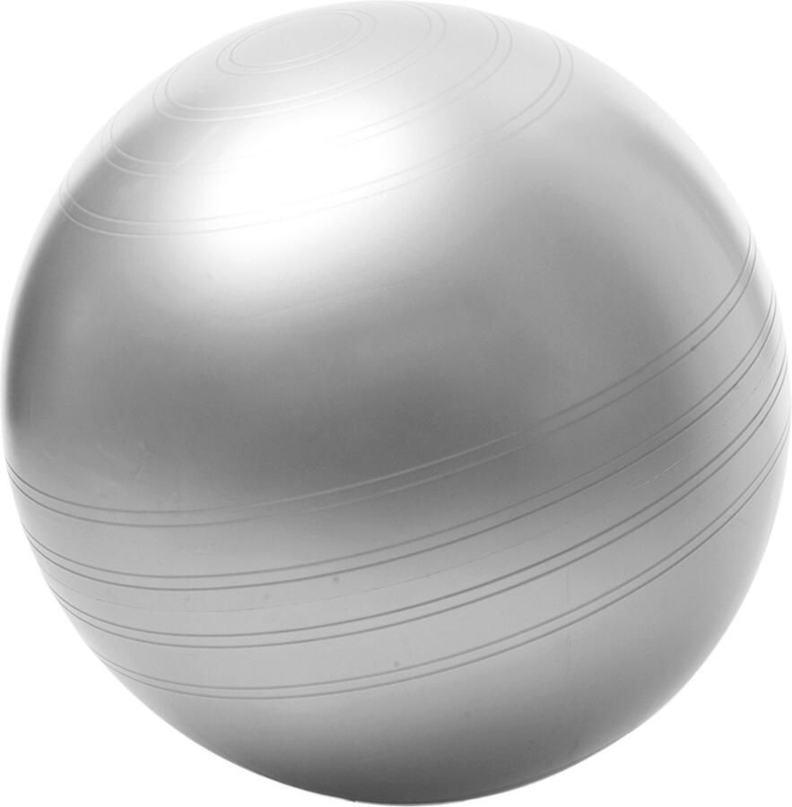 Togu Zitbal ABS 45 cm zitbal Fitbal Zit fitbal - Foto 2