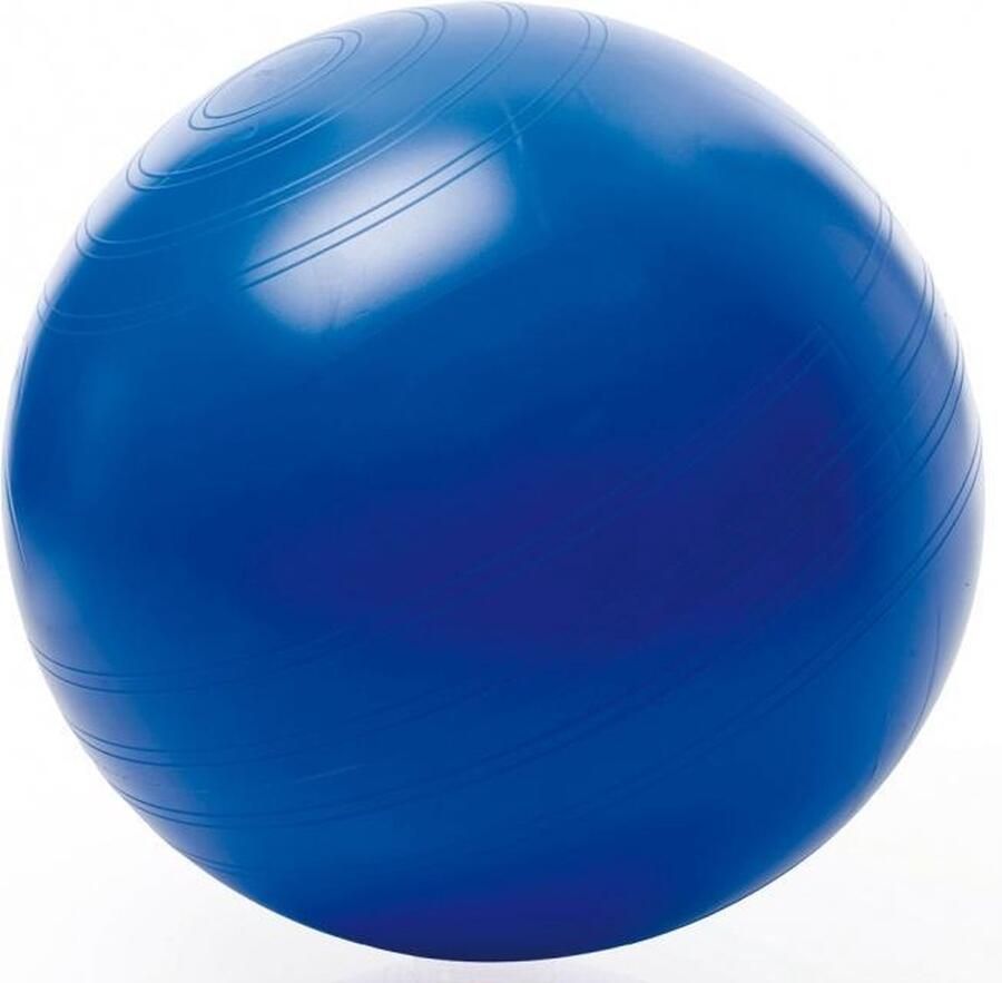 Togu Zitbal ABS 65 cm Blauw