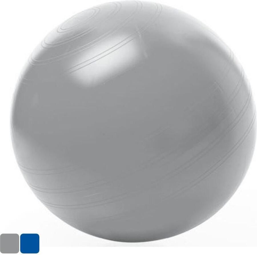 Togu zitbal ABS Zilver L