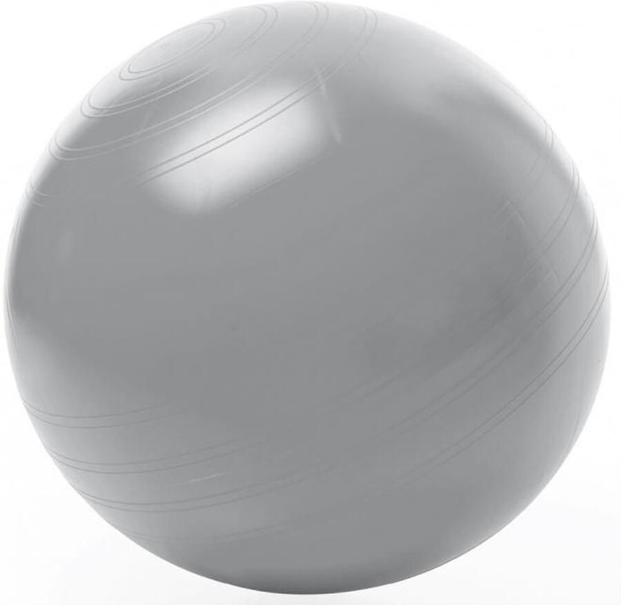 Togu zitbal ABS Zilver M