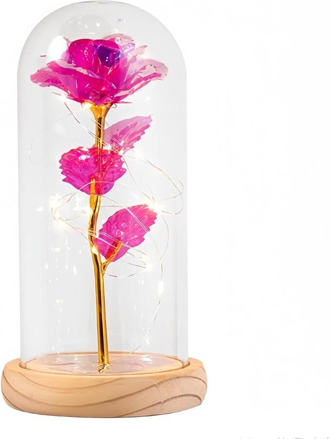 Trankielo – Glazen Koepel Stolp met Houten Bodem en Lichtketting Decoratieve Transparante Vitrine – Ø11x15cm – Ideaal voor Rozen Poppen Decoraties