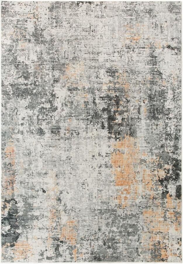 Trankielo Stijlvol Modern Vloerkleed Wasbaar en Laagpolig voor Woonkamer Slaapkamer Keuken en Eetkamer Groot 120 x 170 cm