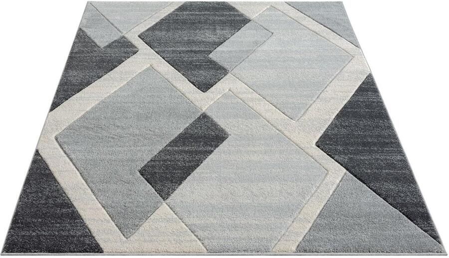 Trankielo Stijlvol Vloerkleed met 3D-Look Laagpolig en Grijs 120 x 170 cm