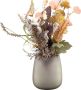 TREND HOME TREND FOR HOME Bloemenvaas 2310 ml glazen vaas Bud vaas glazen vazen voor bloemen decoraties voor woonkamer bloemenvaas voor eettafel satijnbeige 17 cm hoog Zinnia Calm Nature - Thumbnail 2