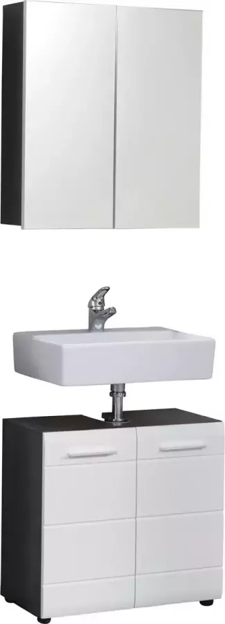 Trendteam smart living Badkamer 2-delige set Combinatie Line 60 x 182 x 31 cm Voorkant Wit Hoogglans Corpus Sardegna rookzilver met Opbergruimte en Legplank