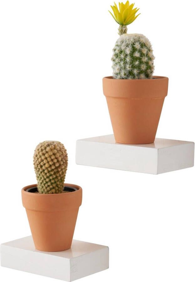 Viesap SHOP YOLO 3 Stukken Houten wandplank met Koord Hangende Planken voor Woonkamer Wand Kleine Keukenplanken met Touw 14 6D x 36W x 2 5H Cm - Foto 2