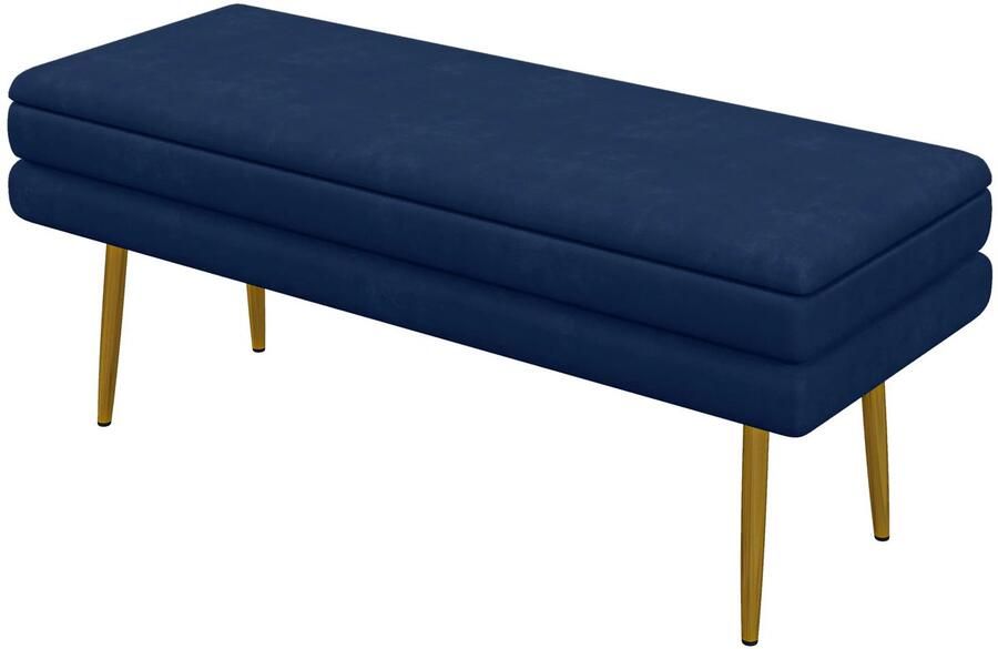 TRUUSK Gestoffeerde Zitbank met Opbergruimte Fluweelachtige Uitstraling Stalen Poten Schoenenbank Voor Woonkamer en