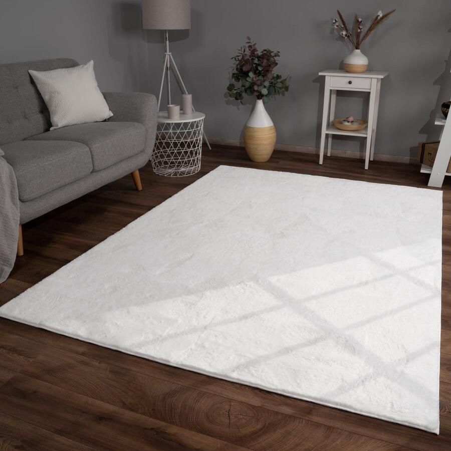 TT Home Woonkamer hoogpolig tapijt imitatiebont moderne effen kleuren pluizig zacht 120 x 120 cm Rechthoek 120 x 120 cm Rechthoek beige - Foto 2