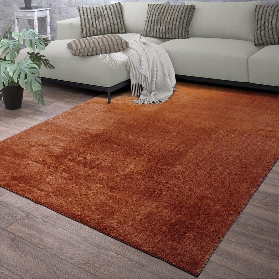 Vloerkleed Woonkamer Laagpolig Eenkleurig Modern Design Wasbaar Geel Gold Crème Maat:60x100 cm - Foto 3