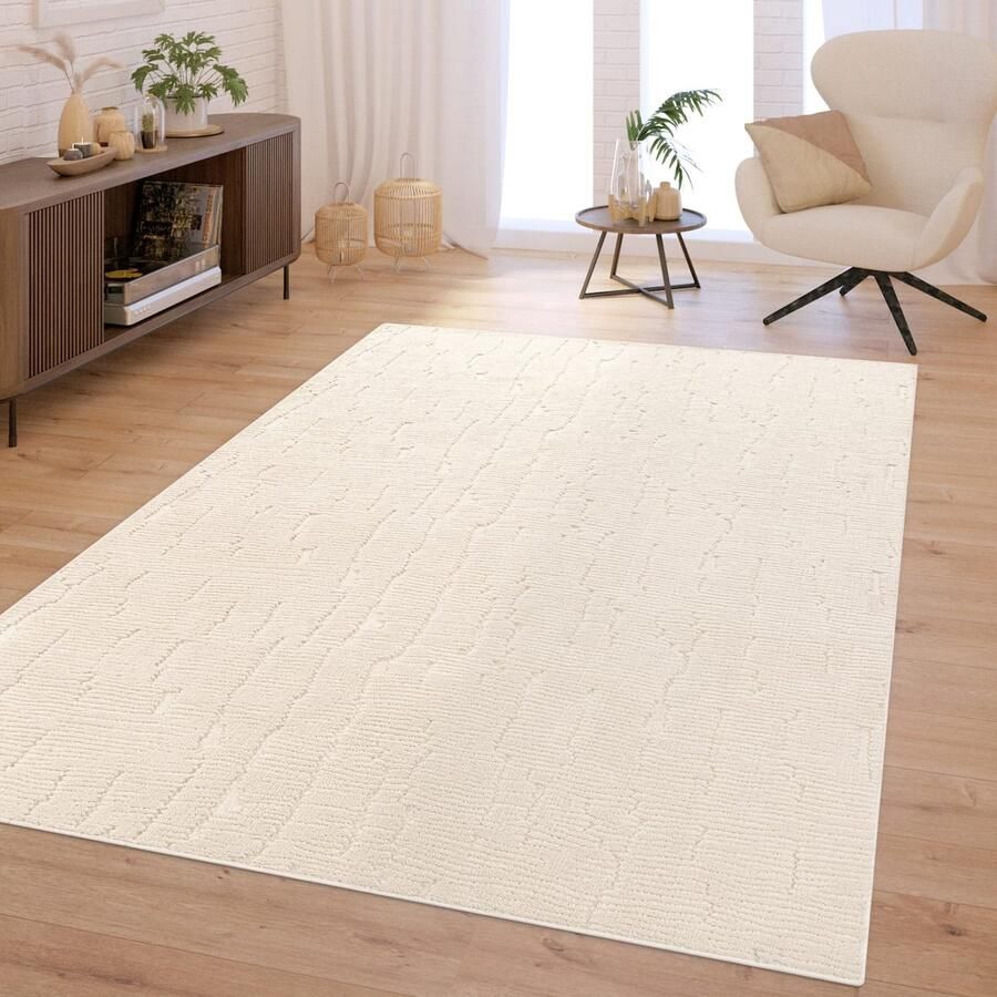 TT Home Woonkamertapijt Diepe pool Scandinavisch Boho Wasbaar Abstract Patroon Zacht