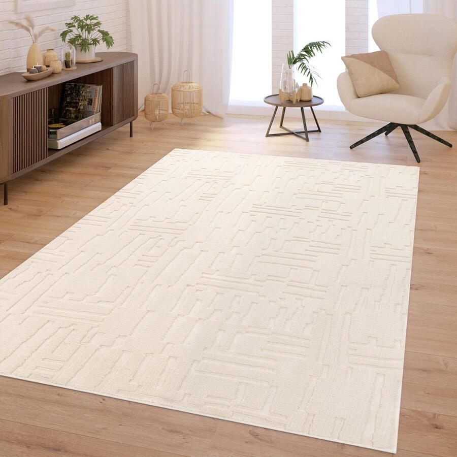 TT Home Woonkamertapijt Slaapkamer Dieppolig Wasbaar Scandinavisch Geometrisch Boho