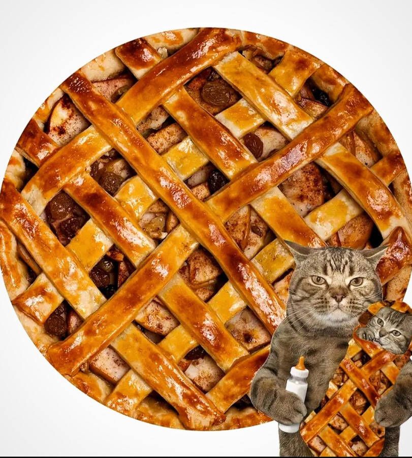 Two Ravens [ ] Appeltaart Deken Fleece Deken met Print Dekentje voor op de bank 1.80 x 1.80 m Origineel Cadeau Blanket