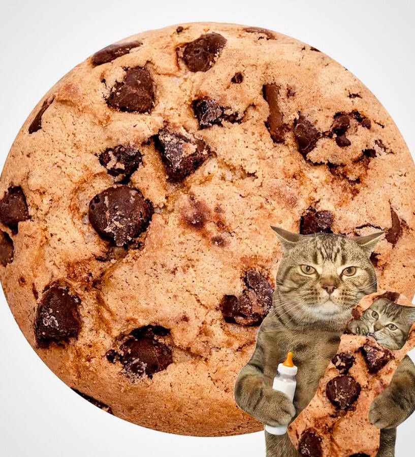 Two Ravens [ ] Chocolade Koekje Deken Fleece Deken met Print Dekentje voor op de bank 1.80 x 1.80 m Origineel Cadeau Blanket