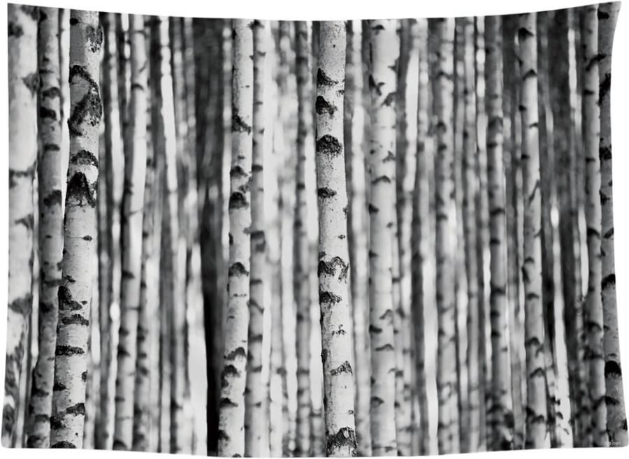 Ulticool Bomen Bos Aesthetic Natuur Zwart Wit Wandkleed Poster 200x150 cm Groot wandtapijt Tuinposter Wandtapijt Buitenkleed Decoratie Schilderijen Posters voor zowel buiten als Muurdecoratie in woonkamer