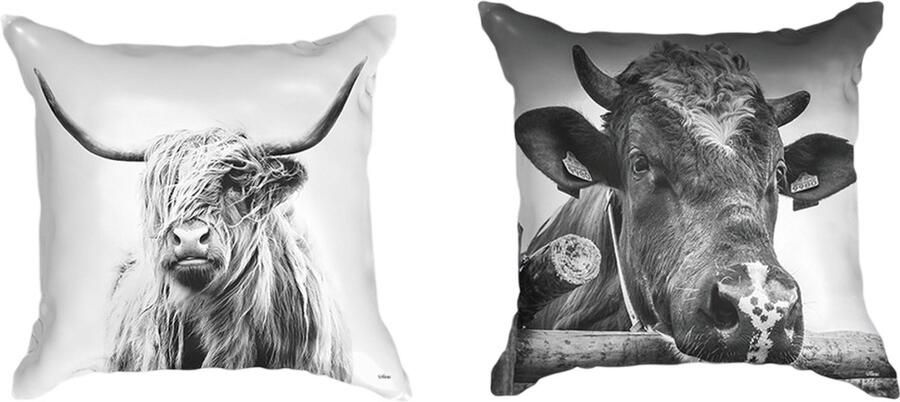 Ulticool Kussenhoes Set van 2 Schotste Hooglander Koe Zwart Wit Zonder Kussenvulling Sierkussens 45x45 cm Sierkussenhoes Accessoires Kussentjes Bank Decoratie Woonkamer Slaapkamer Boho Bohemian Canvas Koeien Cadeau Vrouw Man Tiener Meisje